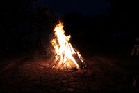 IMG_1387